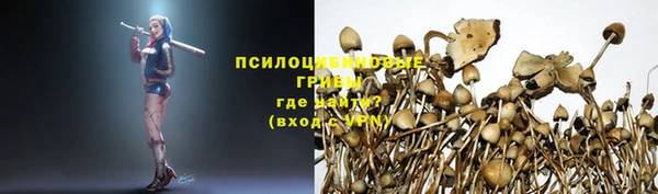 спайс Алексин