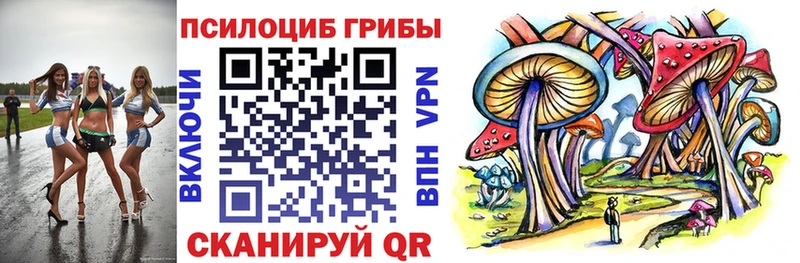 Галлюциногенные грибы Cubensis ссылка на мегу как зайти Дудинка